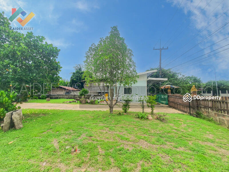 For Sale - Ban Kung Chai, Amnat Charoen