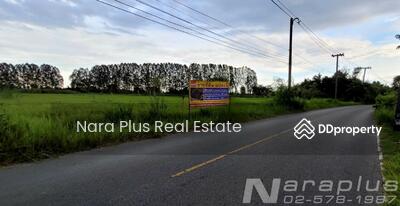 ขาย - หมู่ที่.19 ตำบลท่าพระ อำเภอเมืองขอนแก่น จังหวัดขอนแก่น, ขอนแก่น