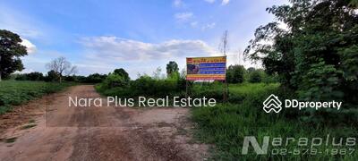 ขาย - หมู่ที่.19 ตำบลท่าพระ อำเภอเมืองขอนแก่น จังหวัดขอนแก่น, ขอนแก่น