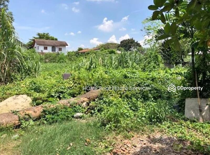 ที่ดิน ซอยปุณณวิถี 37 : Land Soi Punnawithi 37, Bangkok, Bang Chak, Phra Khanong, Bangkok, , 392 sqm, Land For Sale, by HOME Real Estate Service, 11494591 - DDproperty.com