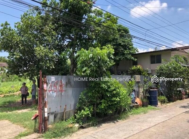 ที่ดิน ซอยปุณณวิถี 37 : Land Soi Punnawithi 37, Bangkok, Bang Chak, Phra Khanong, Bangkok, , 392 sqm, Land For Sale, by HOME Real Estate Service, 11494591 - DDproperty.com