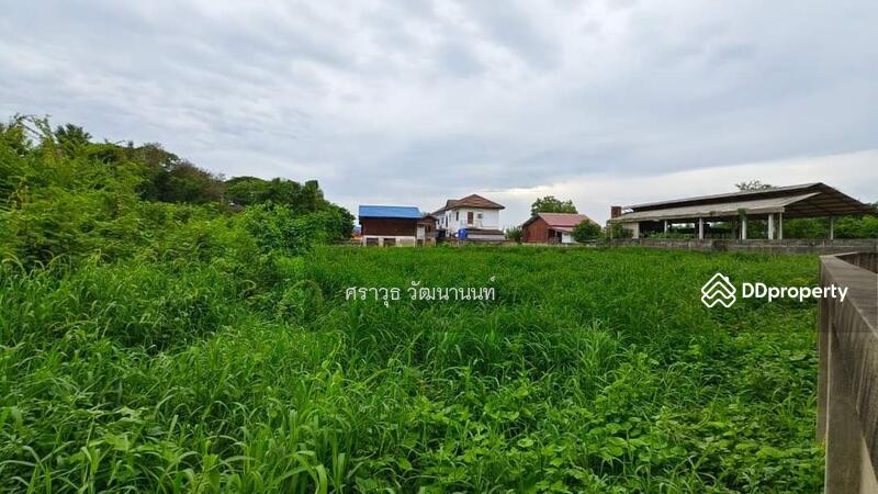 ขาย - ที่ดินเทศบาลตลาดอินทร์บุรี สิงห์​บุรี เนื้อที่ 1 ไร่ 40 ตรว., สิงห์บุรี