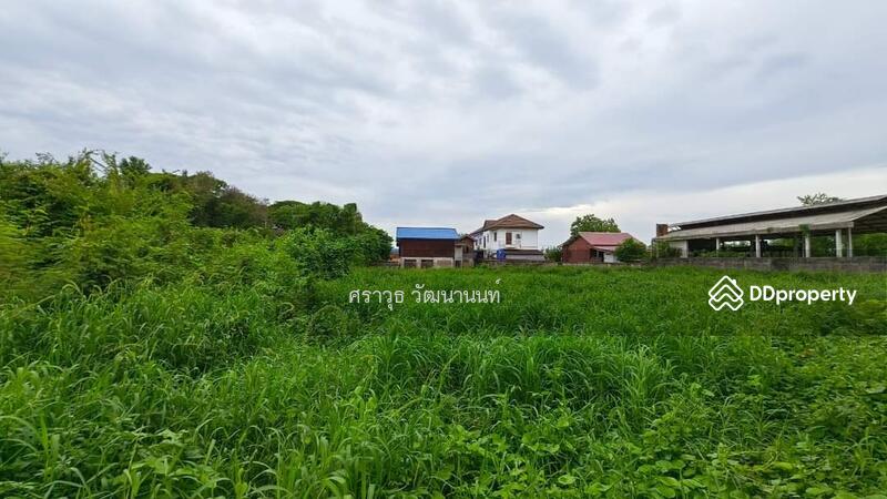 ขาย - ที่ดินเทศบาลตลาดอินทร์บุรี สิงห์​บุรี เนื้อที่ 1 ไร่ 40 ตรว., สิงห์บุรี