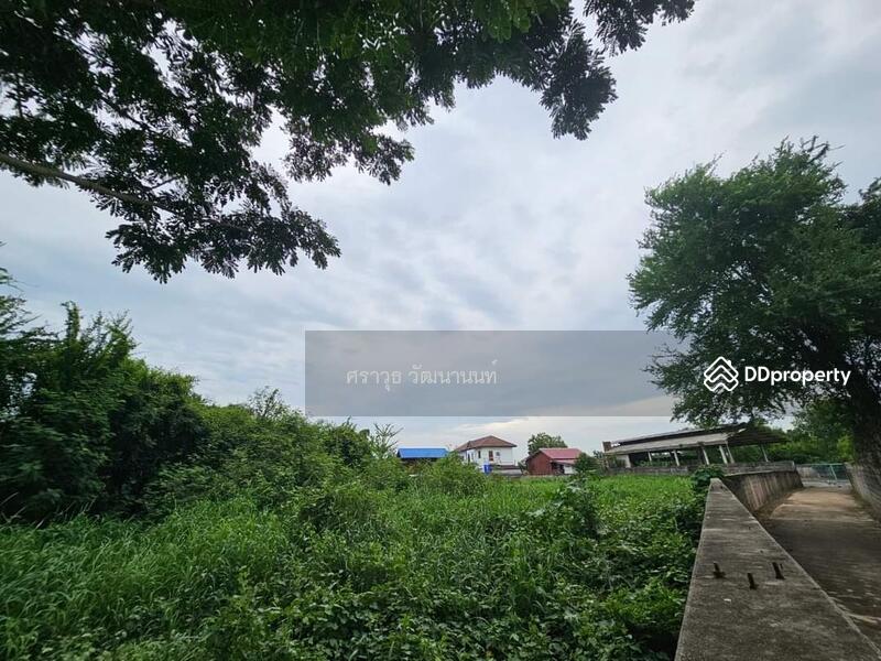 ขาย - ที่ดินเทศบาลตลาดอินทร์บุรี สิงห์​บุรี เนื้อที่ 1 ไร่ 40 ตรว., สิงห์บุรี