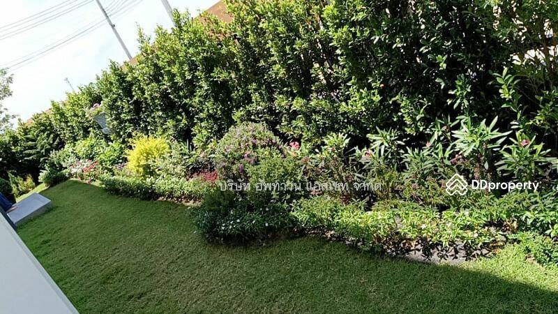 Britannia Bangna - Sriwari, Samut Prakan, Bang Sao Thong, Samut Prakan, 4 Bedrooms, 255 sqm, Single Detached House For Rent, by Uptown Assets Co., Ltd, 11496852 - DDproperty.com
