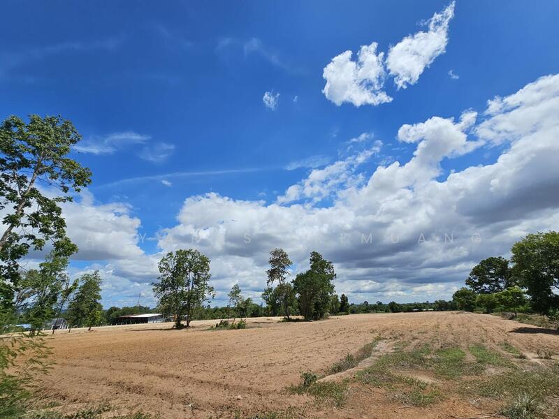 ขาย - ขายที่ดิน ปักธงชัย ติดถนนลาดยาง วิวภูเขา ใกล้ จิม ทอมป์สัน ฟาร์ม เพียง 18.7 กม., นครราชสีมา