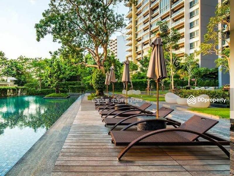 Zire Wongamat, Chon Buri (Pattaya), 456 Soi Naklua 18, Na Kloe, Bang Lamung (Pattaya), Chon Buri (Pattaya), 2 Bedrooms, 99 sqm, Condo For Sale, by ณัฐนันท์ สุนทรวรจันทร์, 11498383 - DDproperty.com