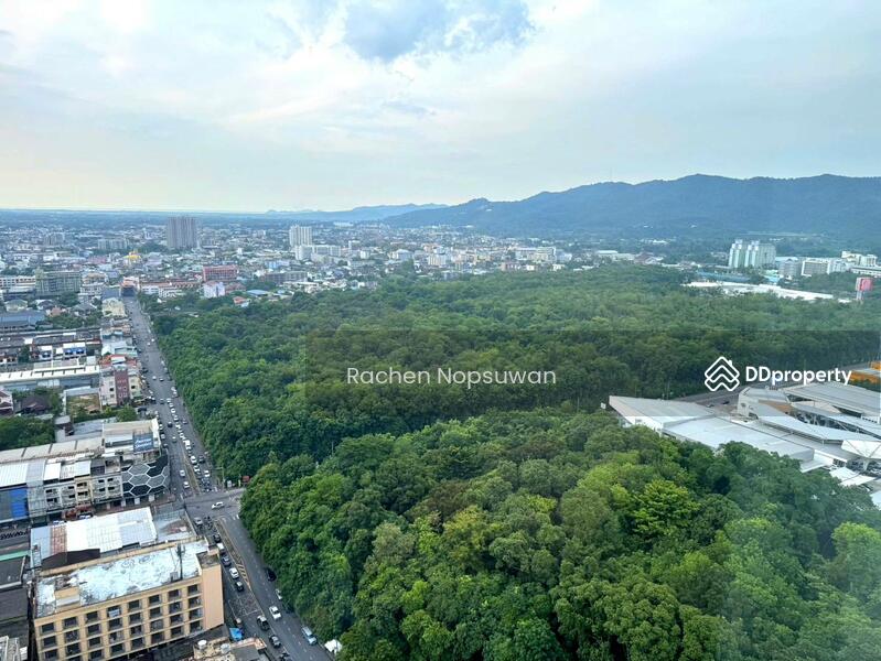 For Rent - The Rise Residence, Songkhla