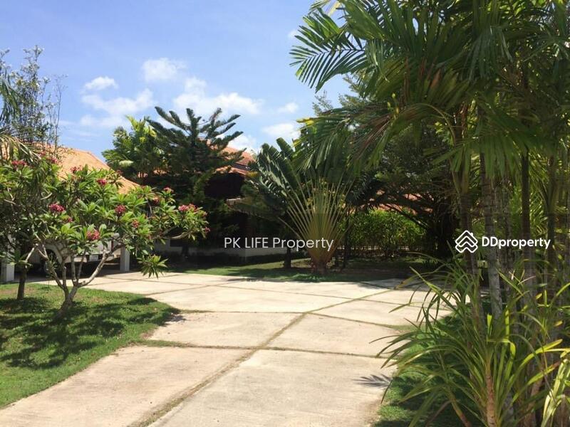 2R0511 Pool villa 3bedroom 3bathroom 95,000/month at Cherngtalay, Phuket, Choeng Thale, Thalang, Phuket, 3 Bedrooms, 250 sqm, Villa For Rent, by PK LIFE Property, 11499221 - DDproperty.com