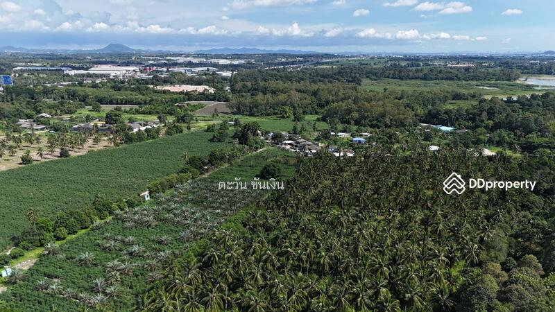 ขาย - ขายที่ดินเปล่า 69 ไร่ เหนืออ่างเก็บน้ำบางพระ ศรีราชา, ชลบุรี