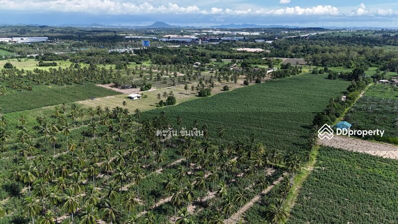 ขาย - ขายที่ดินเปล่า 69 ไร่ เหนืออ่างเก็บน้ำบางพระ ศรีราชา, ชลบุรี