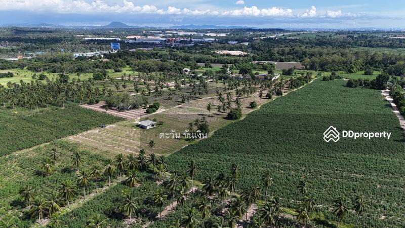 ขาย - ขายที่ดินเปล่า 69 ไร่ เหนืออ่างเก็บน้ำบางพระ ศรีราชา, ชลบุรี