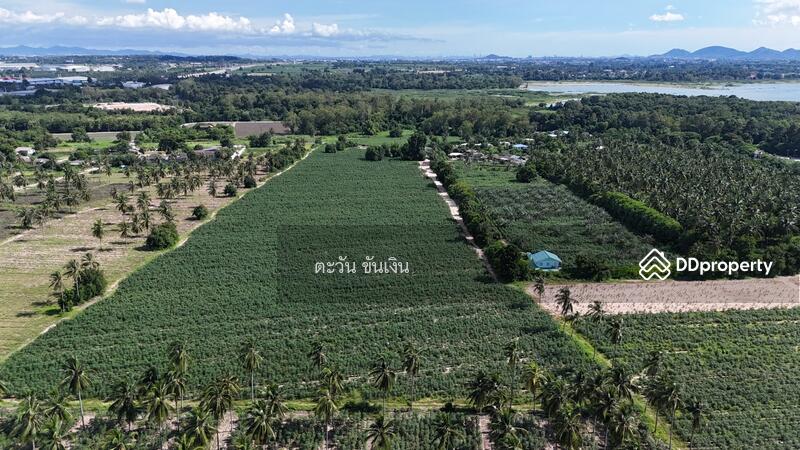 ขาย - ขายที่ดินเปล่า 69 ไร่ เหนืออ่างเก็บน้ำบางพระ ศรีราชา, ชลบุรี