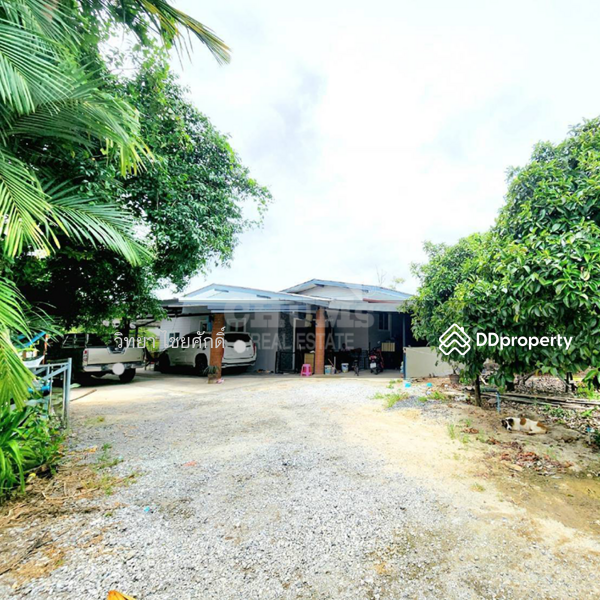 For Sale - House with Land and Fruit Trees, Ban Laeng, Mueang Rayong, Rayong