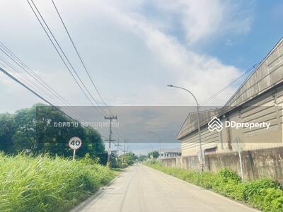 ขาย - ขายที่ดิน 2 แปลง แปลงละ 1 ไร่ ซ.บึงบอน21,23 หนองเสือ ปทุมธานี ไร่ละ 1.7 ล้านบาท, ปทุมธานี