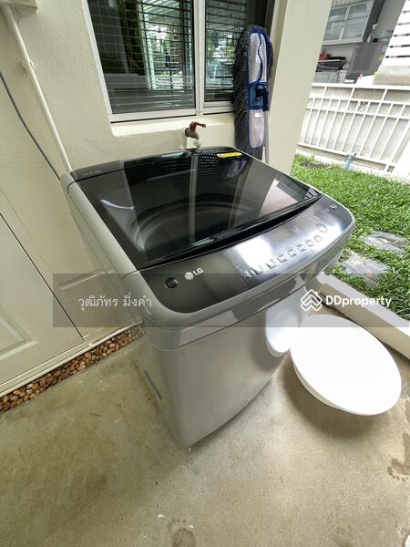 สันทราย, เชียงใหม่, หนองหาร, สันทราย, เชียงใหม่, 170 ตร.ม., บ้านเดี่ยว ให้เช่า, โดย วุฒิภัทร มิ่งคำ, 11501504 - DDproperty.com