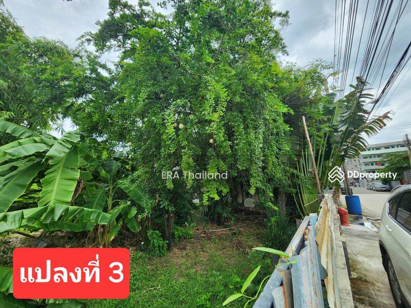 ขายที่ดินเพียง 7 นาทีถึงเซ็นทรัล พระราม 2 จำนวน 1 ไร่ 85 ตารางวา, กรุงเทพ, แสมดำ, บางขุนเทียน, กรุงเทพ, 485 ตร.ม., ที่ดิน ขาย, โดย ERA Thailand, 11501822 - DDproperty.com