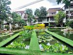 Juldis Khaoyai Mansion : จุลดิศ เขาใหญ่ แมนชั่น, นครราชสีมา