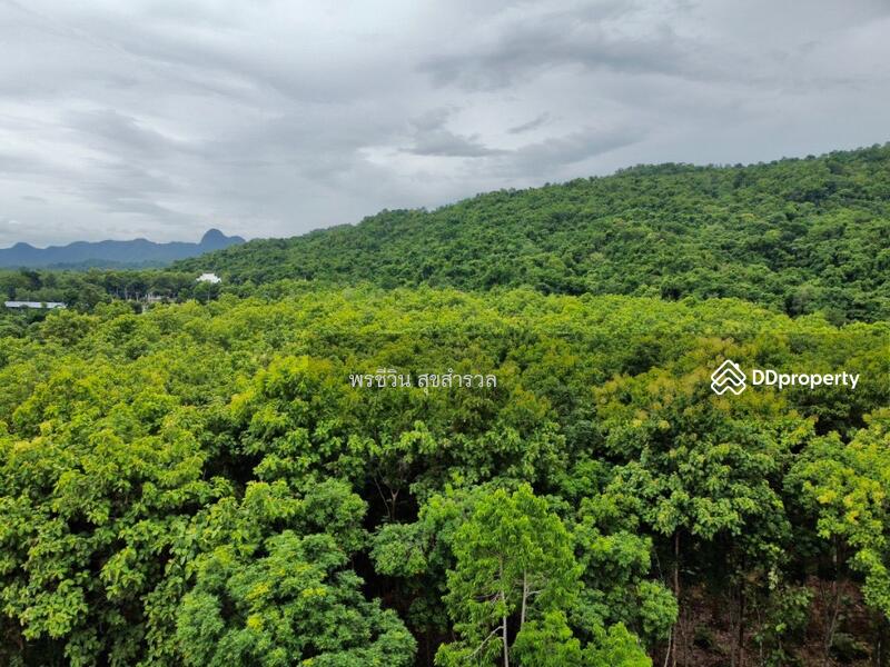 For Sale - ขายรีสอร์ทติดแม่น้ำแควน้อย 32-3-4ไร่ สวย ต.ลุ่มสุ่ม อ.ไทรโยค, Kanchanaburi