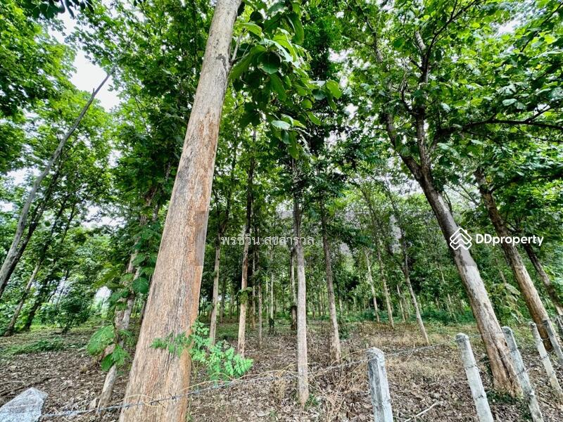 For Sale - ขายรีสอร์ทติดแม่น้ำแควน้อย 32-3-4ไร่ สวย ต.ลุ่มสุ่ม อ.ไทรโยค, Kanchanaburi