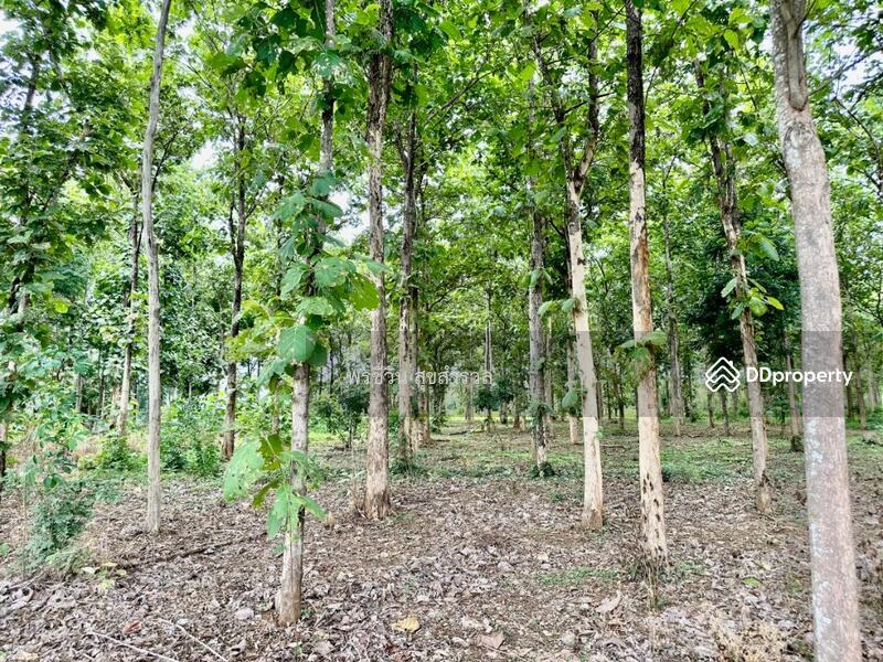 For Sale - ขายรีสอร์ทติดแม่น้ำแควน้อย 32-3-4ไร่ สวย ต.ลุ่มสุ่ม อ.ไทรโยค, Kanchanaburi