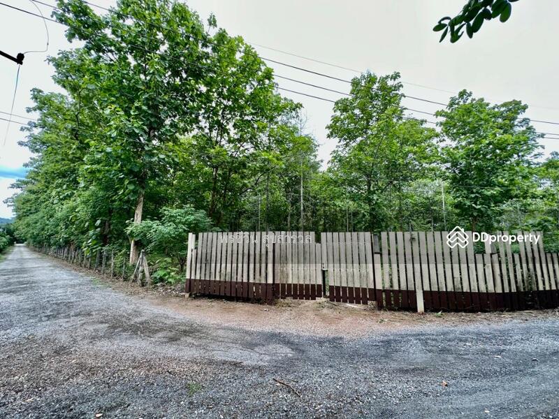 For Sale - ขายรีสอร์ทติดแม่น้ำแควน้อย 32-3-4ไร่ สวย ต.ลุ่มสุ่ม อ.ไทรโยค, Kanchanaburi