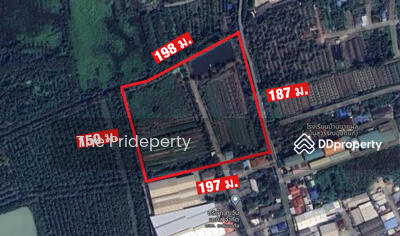 ขาย - ที่ดิน 19 ไร่ 290 ตรว. แปลงสี่เหลี่ยม ซ.เอกชัย 132 บางบอน, กรุงเทพ