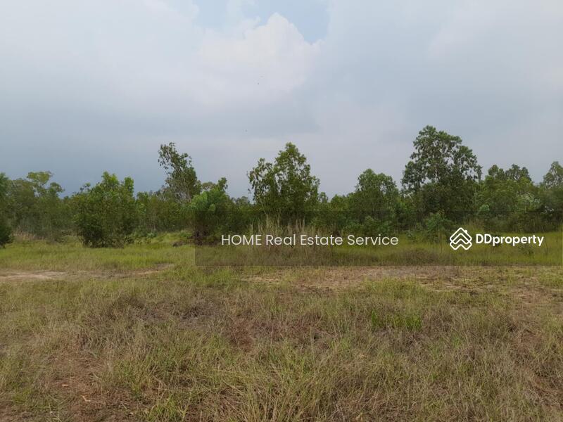 ที่ดิน นิคมอุตสาหกรรมโรจนะ แหลมฉบัง : Land Rojana Industrial Estate Laem Chabang, ชลบุรี, ตะเคียนเตี้ย, บางละมุง, ชลบุรี, 41,804 ตร.ม., ที่ดิน ขาย, โดย HOME Real Estate Service, 11502480 - DDproperty.com