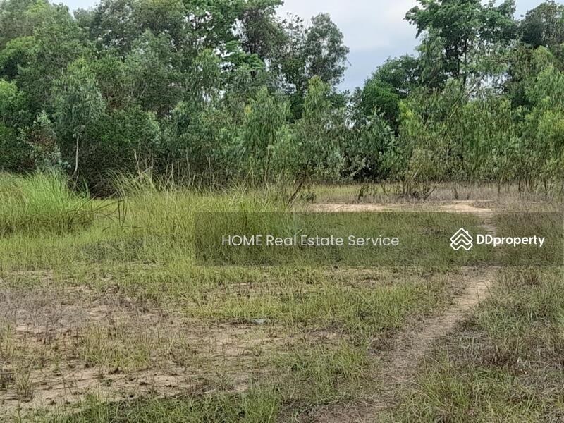 ที่ดิน นิคมอุตสาหกรรมโรจนะ แหลมฉบัง : Land Rojana Industrial Estate Laem Chabang, ชลบุรี, ตะเคียนเตี้ย, บางละมุง, ชลบุรี, 41,804 ตร.ม., ที่ดิน ขาย, โดย HOME Real Estate Service, 11502480 - DDproperty.com