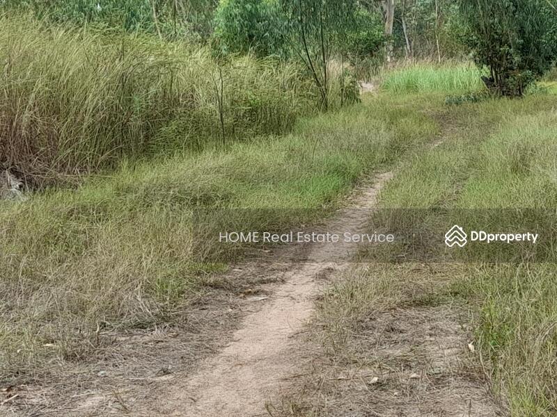 ที่ดิน นิคมอุตสาหกรรมโรจนะ แหลมฉบัง : Land Rojana Industrial Estate Laem Chabang, Chon Buri (Pattaya), Ta Khian Tia, Bang Lamung (Pattaya), Chon Buri (Pattaya), , 41,804 sqm, Land For Sale, by HOME Real Estate Service, 11502480 - DDproperty.com