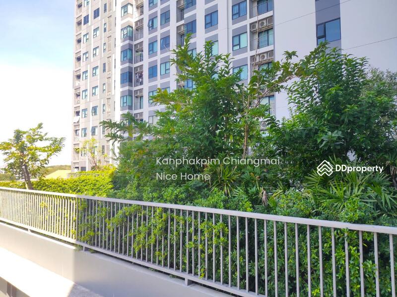 Escent Condo : เอสเซ็นท์ เชียงใหม่, เชียงใหม่, 98 เอสเซ็นท์ คอนโดมิเนียม, ฟ้าฮ่าม, เมืองเชียงใหม่, เชียงใหม่, 32 ตร.ม., คอนโด ให้เช่า, โดย Kanphakpim Chiangmai Nice Home, 11502723 - DDproperty.com