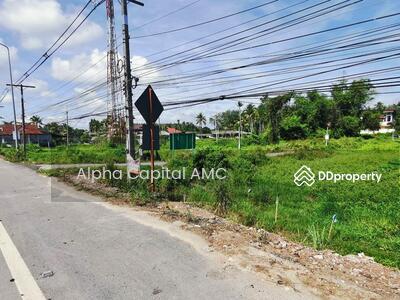 ขาย - ขายที่ดินเปล่า ติดถนนสายปัตตานี-โคกโพธิ์ L4_5_0319_G01_C004, ปัตตานี