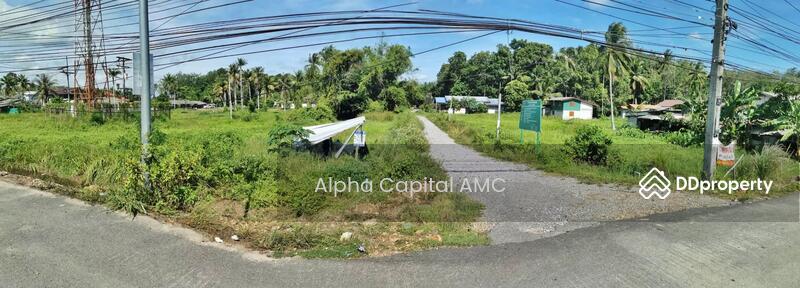 For Sale - Sale Vacant Land next to Pattani - Khok Pho Road L4_5_0319_G01_C004, Pattani