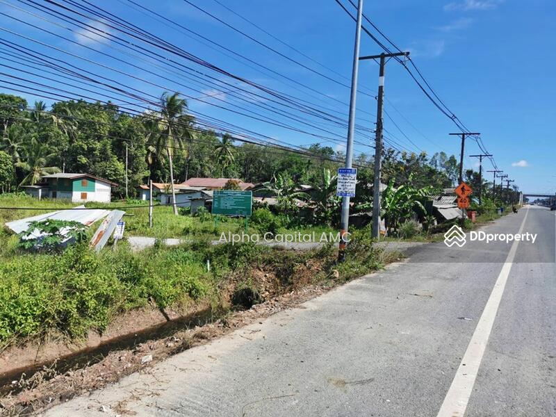 For Sale - Sale Vacant Land next to Pattani - Khok Pho Road L4_5_0319_G01_C004, Pattani
