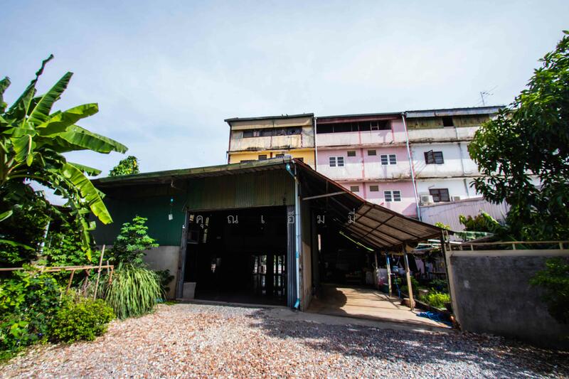 ขายอาคารพาณิชย์ 2 คูหา ติดถนนมิตรภาพ สีคิ้ว นครราชสีมา 3.5 ชั้น ที่ดิน 83.2 ตร.วา, นครราชสีมา, มิตรภาพ, ลาดบัวขาว, สีคิ้ว, นครราชสีมา, 400 ตร.ม., ตึกแถว-อาคารพาณิชย์ ขาย, โดย คุณเอ็มมี่, 11503072 - DDproperty.com