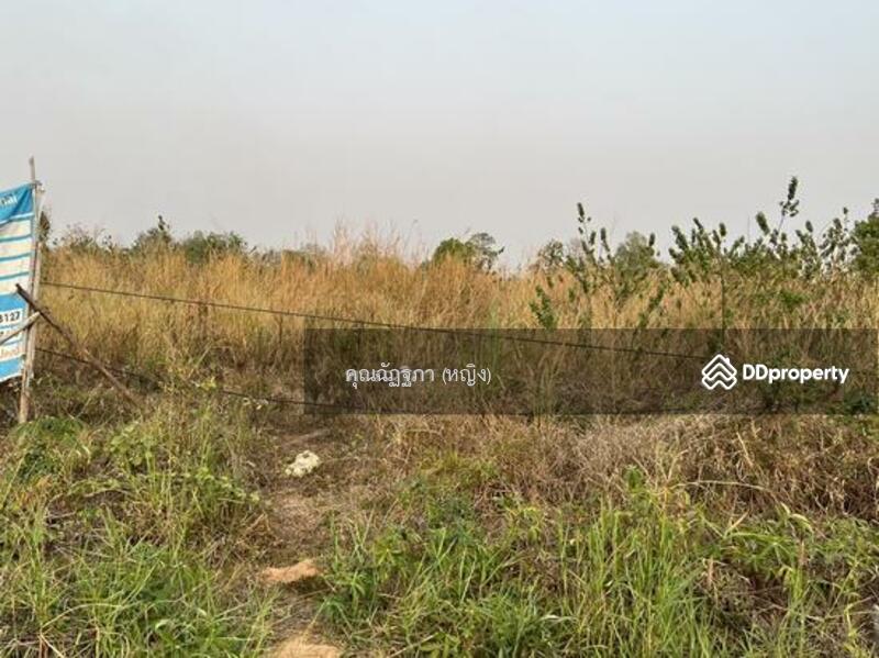 ขาย - ต.สวาท อ.เลิงนกทา จ.ยโสธร, ยโสธร