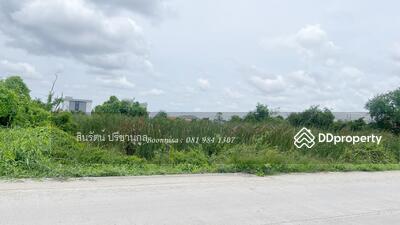 ขาย - ที่ดิน ถนนซอยวัดศรีวารีน้อย, สมุทรปราการ