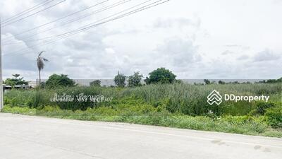 ขาย - ที่ดิน ถนนซอยวัดศรีวารีน้อย, สมุทรปราการ