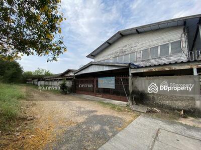 ขาย - ถนนสายนครราชสีมา-กบินทร์บุรี (ทางหลวงหมายเลข 304) ตำบลเมืองปัก อำเภอปักธงชัย นครราชสีมา, นครราชสีมา