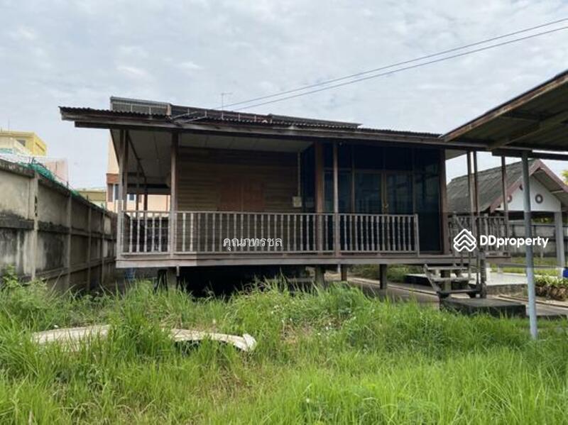 ถนนสายนครราชสีมา-กบินทร์บุรี (ทางหลวงหมายเลข 304) ตำบลเมืองปัก อำเภอปักธงชัย นครราชสีมา, Nakhon Ratchasima, Muang Pak, Pak Thong Chai, Nakhon Ratchasima, , 1,538 sqm, Warehouse/Factory For Sale, by คุณภทรชล, 11503682 - DDproperty.com