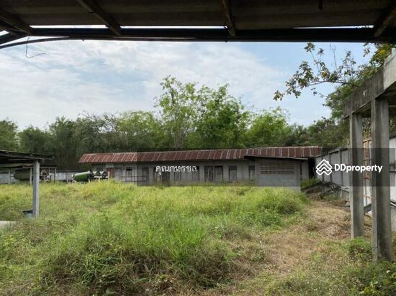 ถนนสายนครราชสีมา-กบินทร์บุรี (ทางหลวงหมายเลข 304) ตำบลเมืองปัก อำเภอปักธงชัย นครราชสีมา, นครราชสีมา, เมืองปัก, ปักธงชัย, นครราชสีมา, 1,538 ตร.ม., โกดัง-โรงงาน ขาย, โดย คุณภทรชล, 11503682 - DDproperty.com