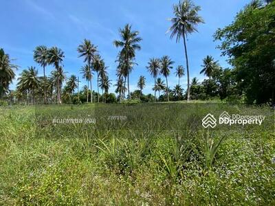 ขาย - ถนนสายบ้านหนองไผ่ล้อม-วัดสมุทรธาราม ตำบลห้วยยาง อำเภอทับสะแก ประจวบคีรีขันธ์, ประจวบคีรีขันธ์