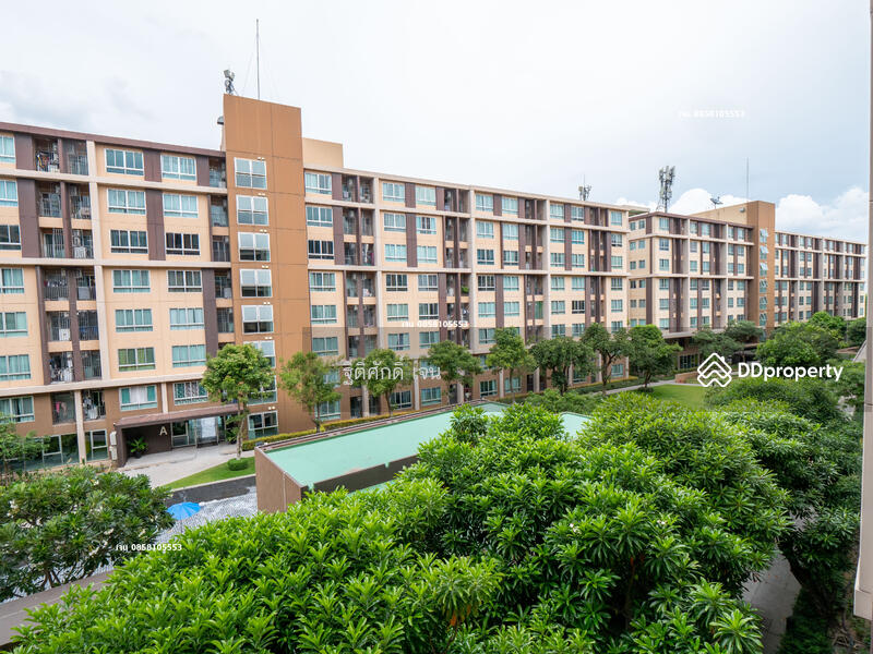 Dcondo Campus Resort Rangsit : ดี คอนโด แคมปัส รีสอร์ท รังสิต, ปทุมธานี, 89 ซอยหมู่บ้านกฤษณาเฮ้าส์ ถนนคลองหลวง, คลองหนึ่ง, คลองหลวง, ปทุมธานี, 30 ตร.ม., คอนโด ให้เช่า, โดย ฐิติศักดิ์ เจน, 11504507 - DDproperty.com