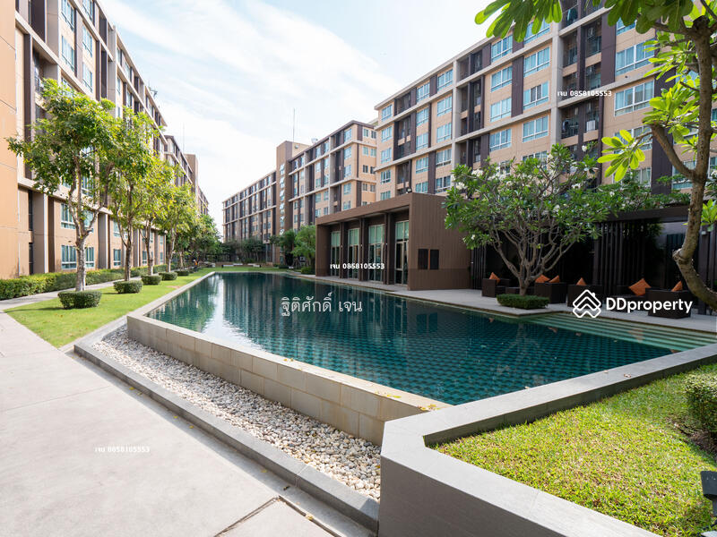 Dcondo Campus Resort Rangsit, Pathum Thani, 89 Soi Mu Ban Kritsana House Khlong Luang Road, Khlong Nung, Khlong Luang, Pathum Thani, 1 Bedroom, 30 sqm, Condo For Rent, by TITISAK Jane, 11504507 - DDproperty.com