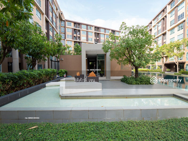 Dcondo Campus Resort Rangsit : ดี คอนโด แคมปัส รีสอร์ท รังสิต, ปทุมธานี, 89 ซอยหมู่บ้านกฤษณาเฮ้าส์ ถนนคลองหลวง, คลองหนึ่ง, คลองหลวง, ปทุมธานี, 30 ตร.ม., คอนโด ให้เช่า, โดย ฐิติศักดิ์ เจน, 11504507 - DDproperty.com