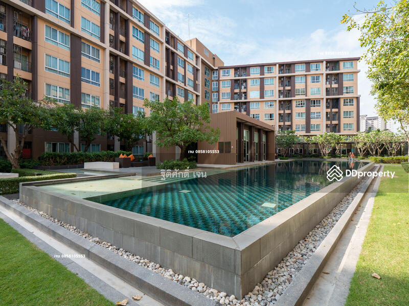 Dcondo Campus Resort Rangsit : ดี คอนโด แคมปัส รีสอร์ท รังสิต, ปทุมธานี, 89 ซอยหมู่บ้านกฤษณาเฮ้าส์ ถนนคลองหลวง, คลองหนึ่ง, คลองหลวง, ปทุมธานี, 30 ตร.ม., คอนโด ให้เช่า, โดย ฐิติศักดิ์ เจน, 11504507 - DDproperty.com