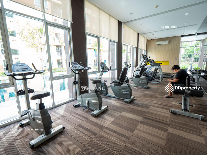 Dcondo Campus Resort Rangsit : ดี คอนโด แคมปัส รีสอร์ท รังสิต, ปทุมธานี, 89 ซอยหมู่บ้านกฤษณาเฮ้าส์ ถนนคลองหลวง, คลองหนึ่ง, คลองหลวง, ปทุมธานี, 30 ตร.ม., คอนโด ให้เช่า, โดย ฐิติศักดิ์ เจน, 11504507 - DDproperty.com