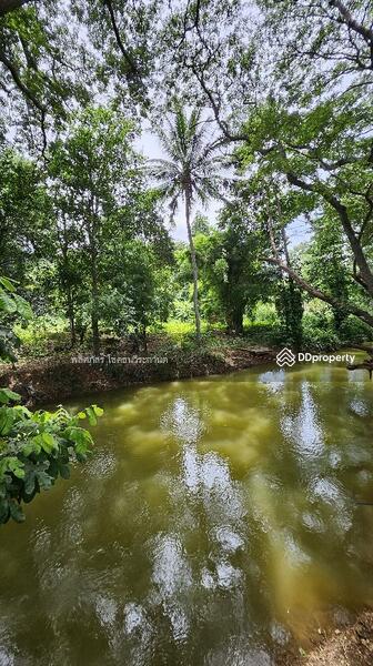 ขาย - บัานพักติดลำตะคลองพร้อมเรือนรับรองอีก4หลังจะซื่อปล่อยเช่าหรืออยู่อาศัยก็คุ้ม บ้านหลังใหญ่ 4นอน 4น้ำ, นครราชสีมา