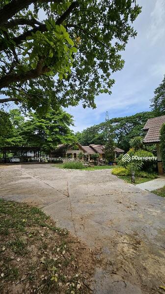 ขาย - บัานพักติดลำตะคลองพร้อมเรือนรับรองอีก4หลังจะซื่อปล่อยเช่าหรืออยู่อาศัยก็คุ้ม บ้านหลังใหญ่ 4นอน 4น้ำ, นครราชสีมา
