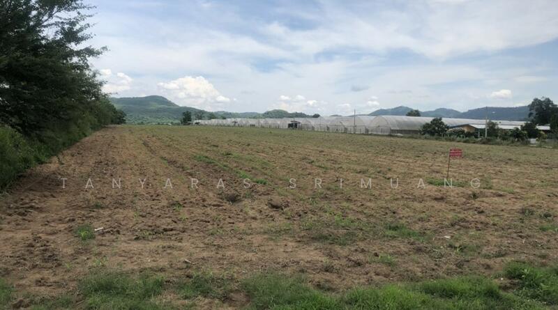 ขายที่ดินติดถนน ทำเลดี เห็นวิวเขา ใกล้ถนนหนองสาหร่าย คุณโอ๋ 098-097-8715, นครราชสีมา, หนองสาหร่าย, ปากช่อง, นครราชสีมา, 25,912 ตร.ม., ที่ดิน ขาย, โดย Tanyaras Srimuang, 11504911 - DDproperty.com